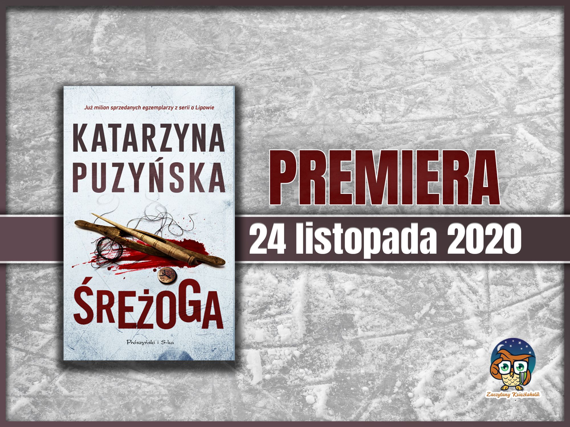Śreżoga, Katarzyna Puzyńska, zaczytanyksiazkoholik.pl