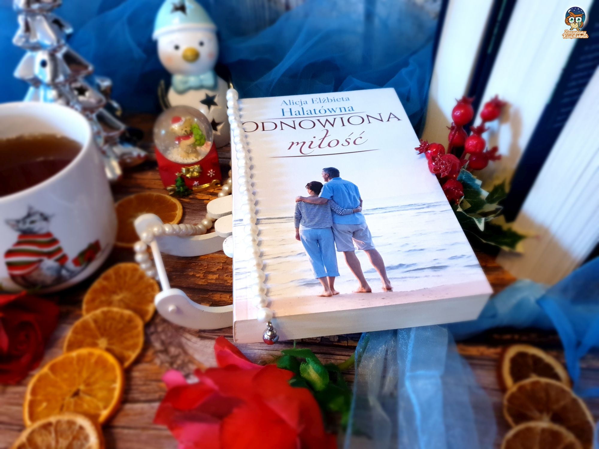 Blog książkowy - Czy warto wchodzić dwa razy do tej samej rzeki -Odnowiona miłość - Alicja Elżbieta Halatówna - zaczytanyksiazkoholik.pl