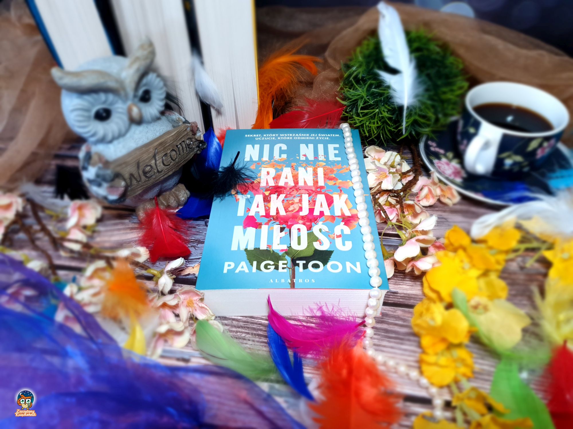 Blog książkowy - Nic nie rani tak jak miłość - Paige Toon - zaczytanyksiazkoholik.pl